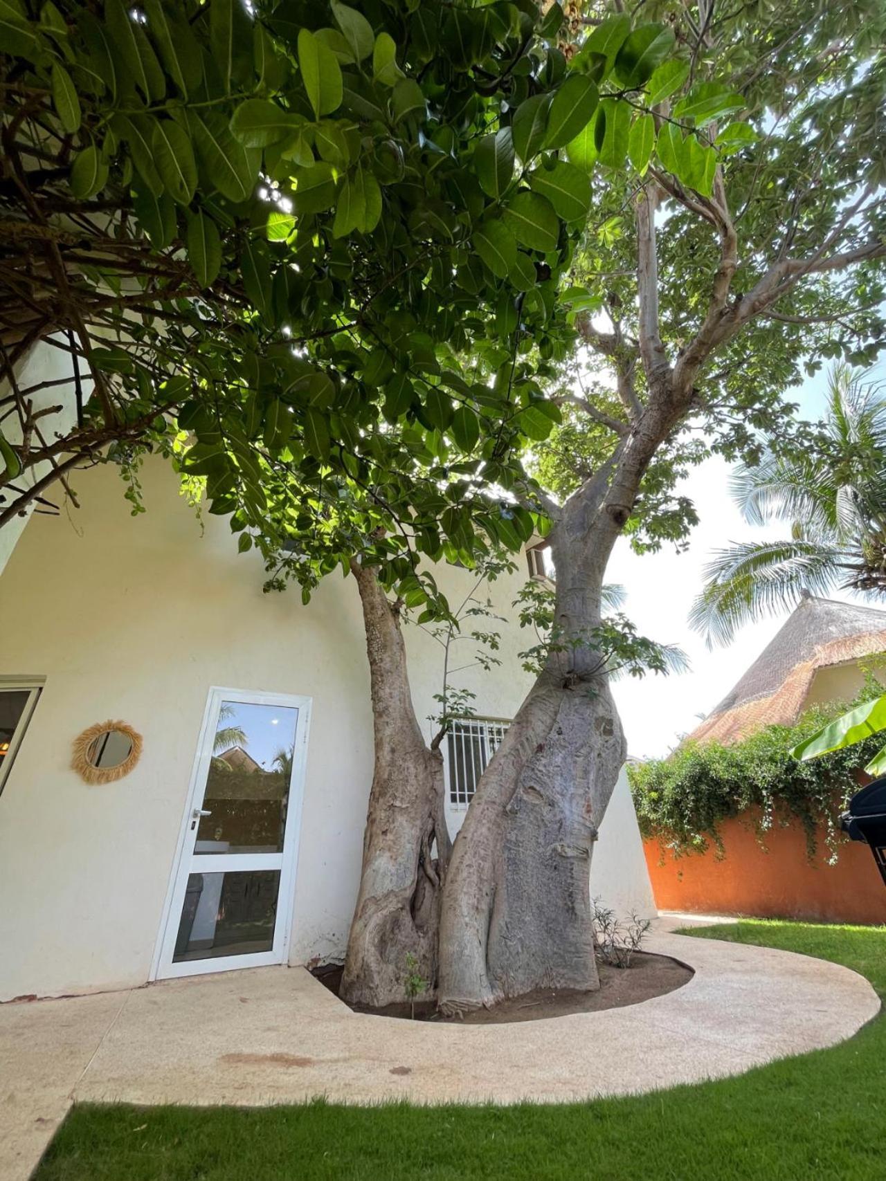 Agence Adjana Resort - Residence Du Port 3 Sali Tapé Eksteriør bilde